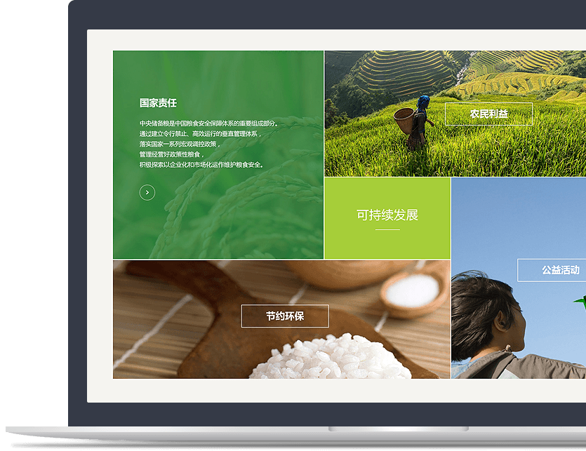 國有企業(yè)官網(wǎng)設計說(shuō)明