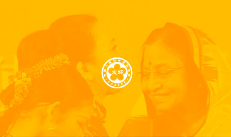 中國人民對外友好
協(xié)會(huì )官網(wǎng)網(wǎng)站開(kāi)發(fā)